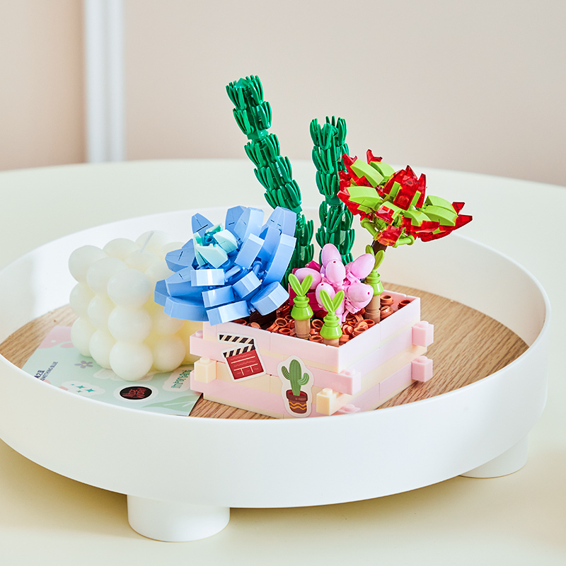 Succulent Garden-Something Blue